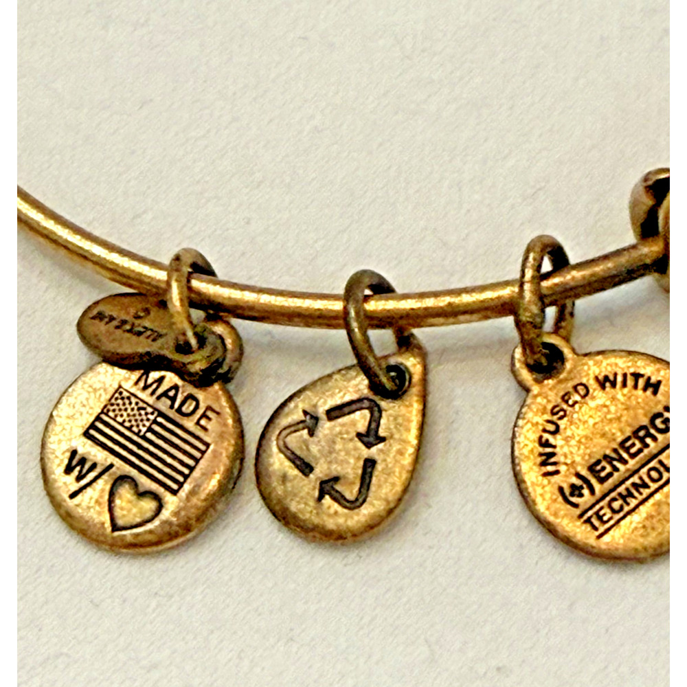 Disney Alex And Ani Hollywood Studios Sorcerer Hat Gold Bangle Charm Bracelet - Picture 9 of 9